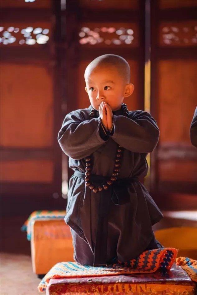 目测要火 西来寺的萌萌的小和尚们 儒佛道频道 腾讯网