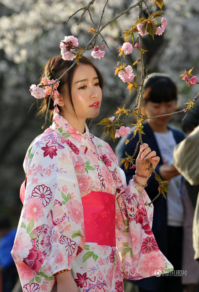 武汉女孩穿和服女仆装赏樱 - acfun弹幕视频网 - 认真你就输啦 (?ω?
