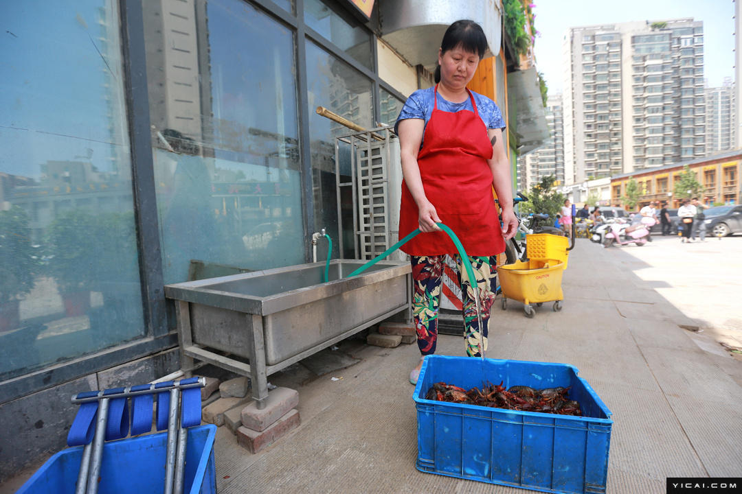 比如,只存在一季的洗虾工.