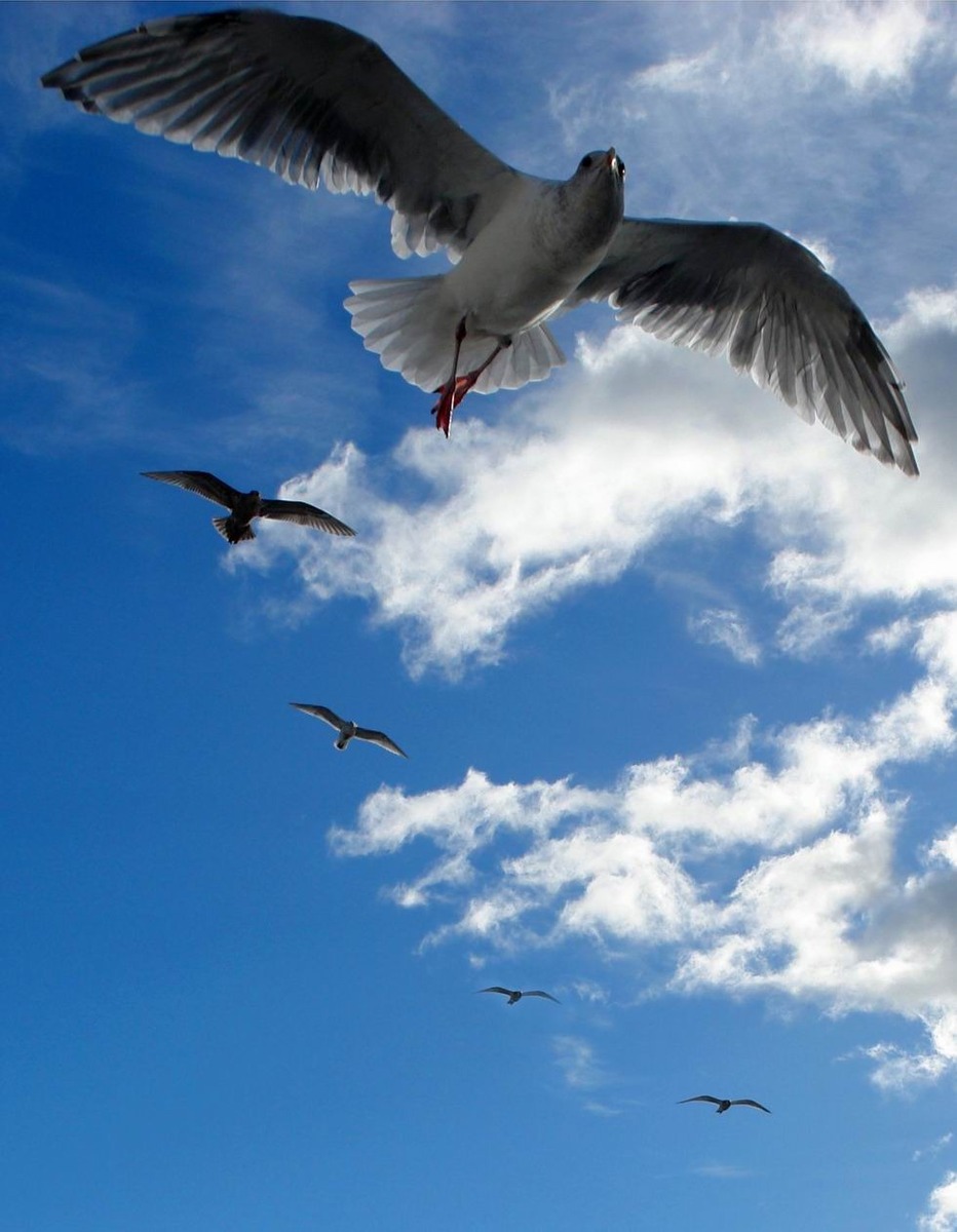 组图:赵永祥摄影作品精选