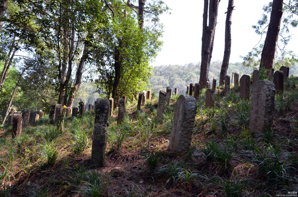 高清:19名中国远征军将士遗骸归故土