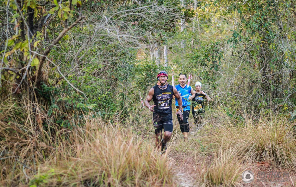 尽情享受跑步的乐趣,图为播求在密林中跑步