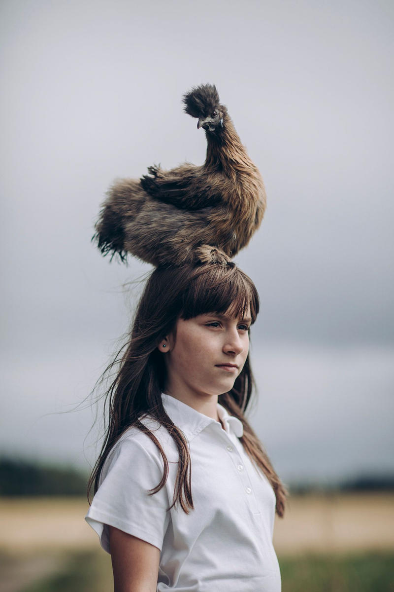 芬兰人的个性宠物