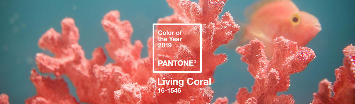 pantone 发布 2019 年度代表色:活珊瑚橘_大申_腾讯网