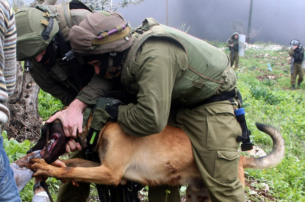 免费smtp服务器,疯狂小太监,王菲神回复,冰火九重