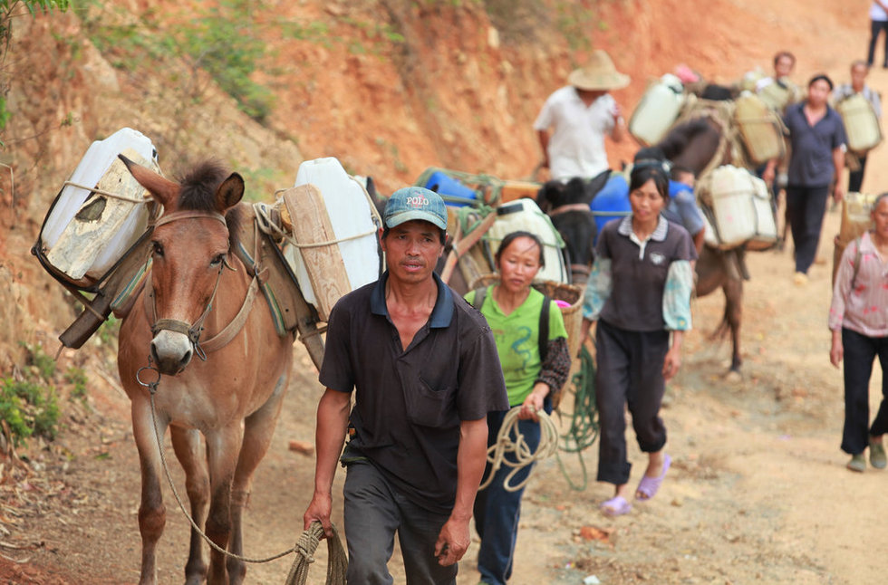 广西百色马帮上山寻生命水