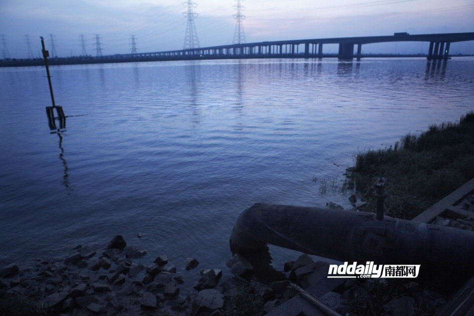 番禺沙湾水道京珠高速沙湾大桥下,一根排污管伸进河里.