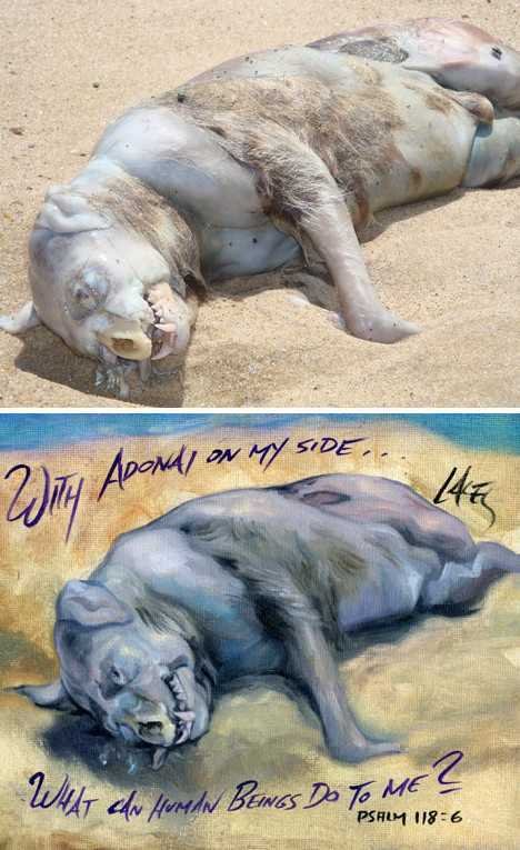 世界奇特海滩怪兽大盘点 - 科学探索 - 科学探索