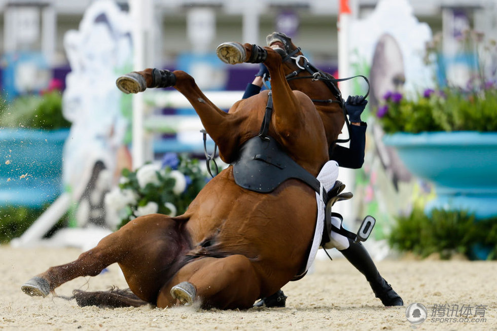 人仰马翻 现代五项比赛韩国选手坠马
