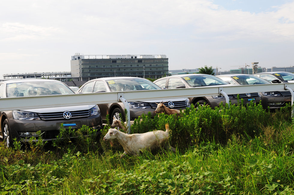 南京投资5亿国际赛马场成停车场