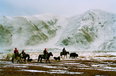 “郎静山杯”国际风光风情摄影大展摄影作品 优秀作品：雪域冬牧-屈琳