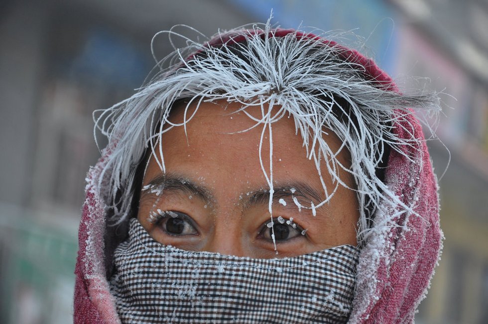 高清:呼伦贝尔遭寒潮暴雪袭击 气温逼近-40℃_新闻_腾讯网