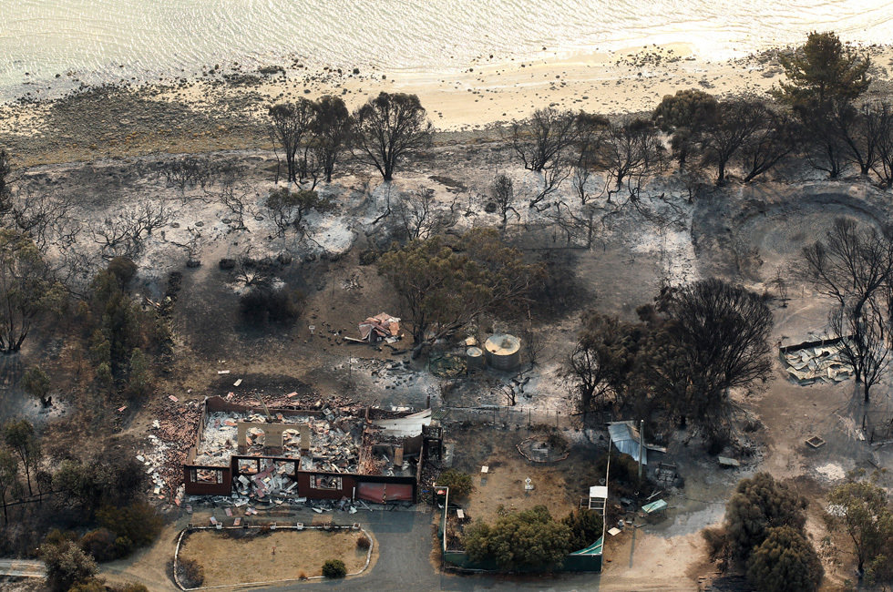 澳大利亚西南威尔士州严重山火烧死上万只羊组图