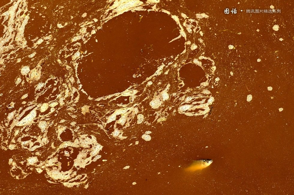 转-中国污水河的色彩(图话)