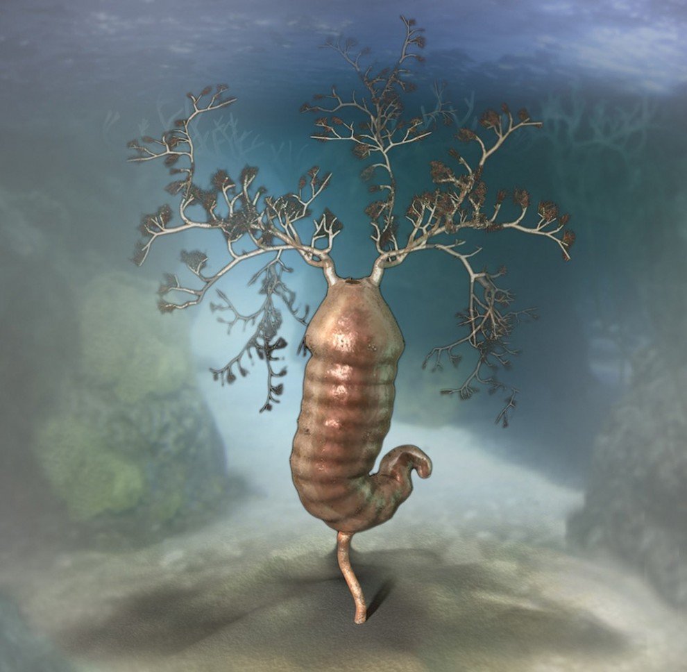 地球最早期生物