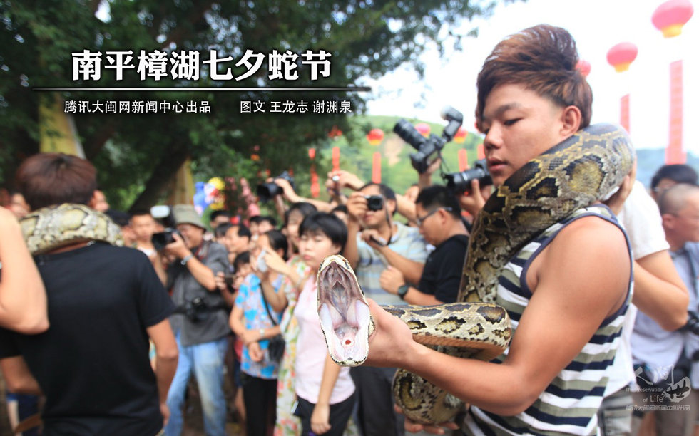 南平樟湖板镇蛇节图片