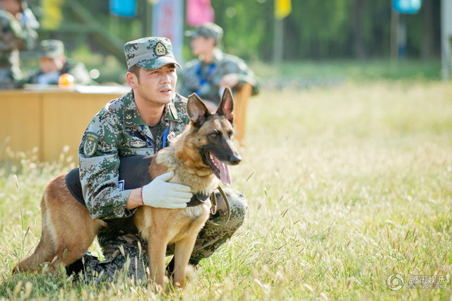 神犬奇兵海报图片