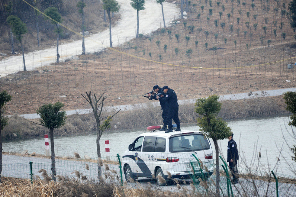 下午1时许,合肥市特警支队特警赶到,用冲锋枪连开8枪将惊牛击毙