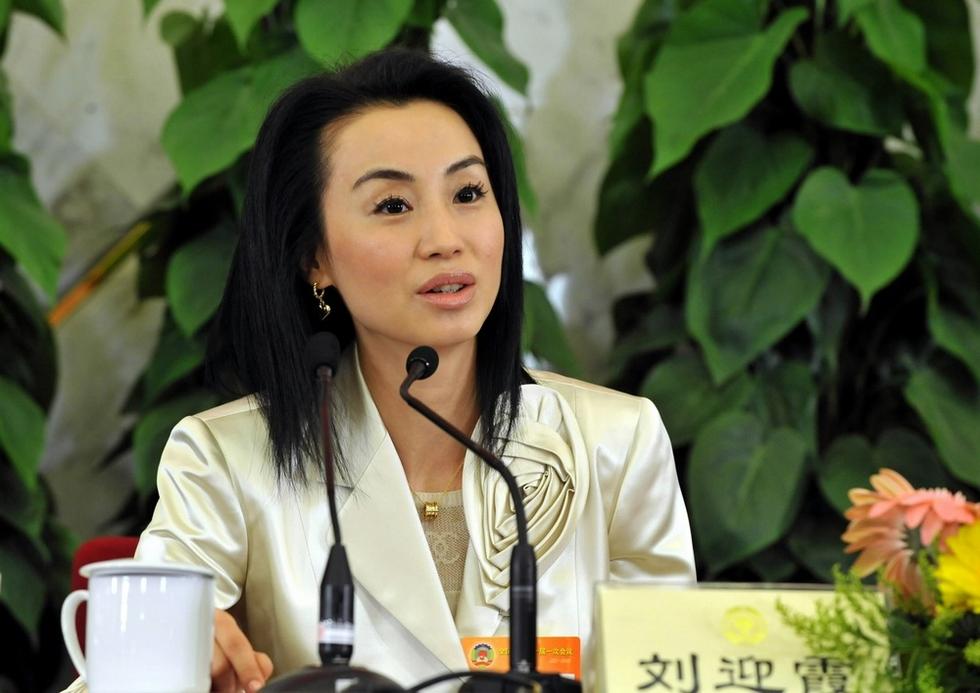 美女,巨富,政协委员,刘迎霞.