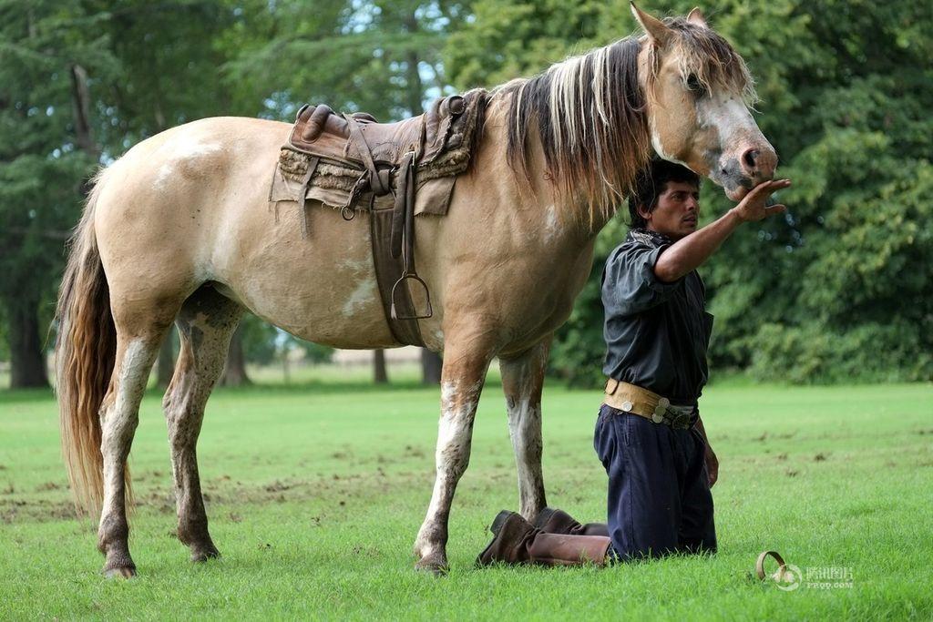 shaofu_shaofu662.com,零世界职业,临沂鼓王,十