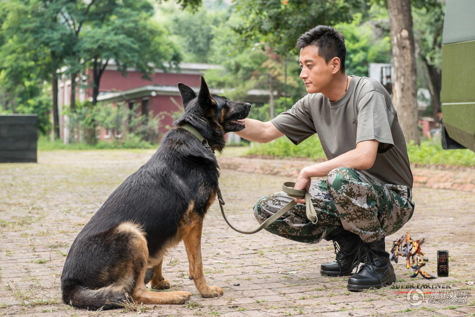 《神犬奇兵》曝萌宠成长记 可爱神犬俏皮卖萌