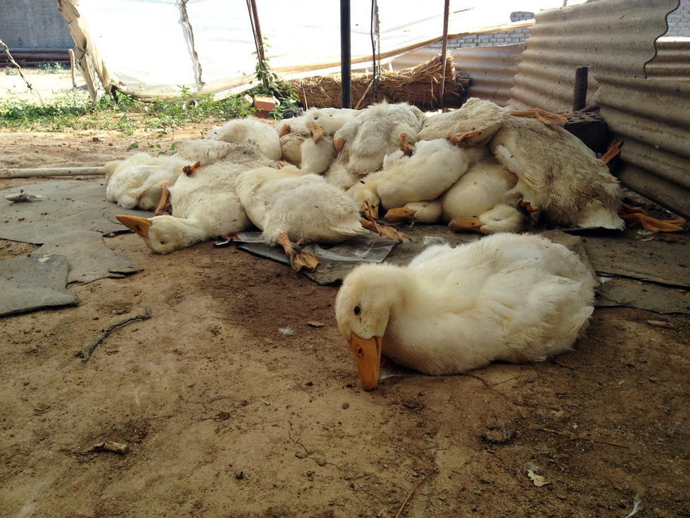 c罗:我为进5球和皇马的杰出表现感到幸福