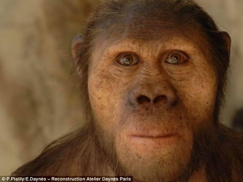 揭秘原始人进化史:艺术家复活人类祖先 