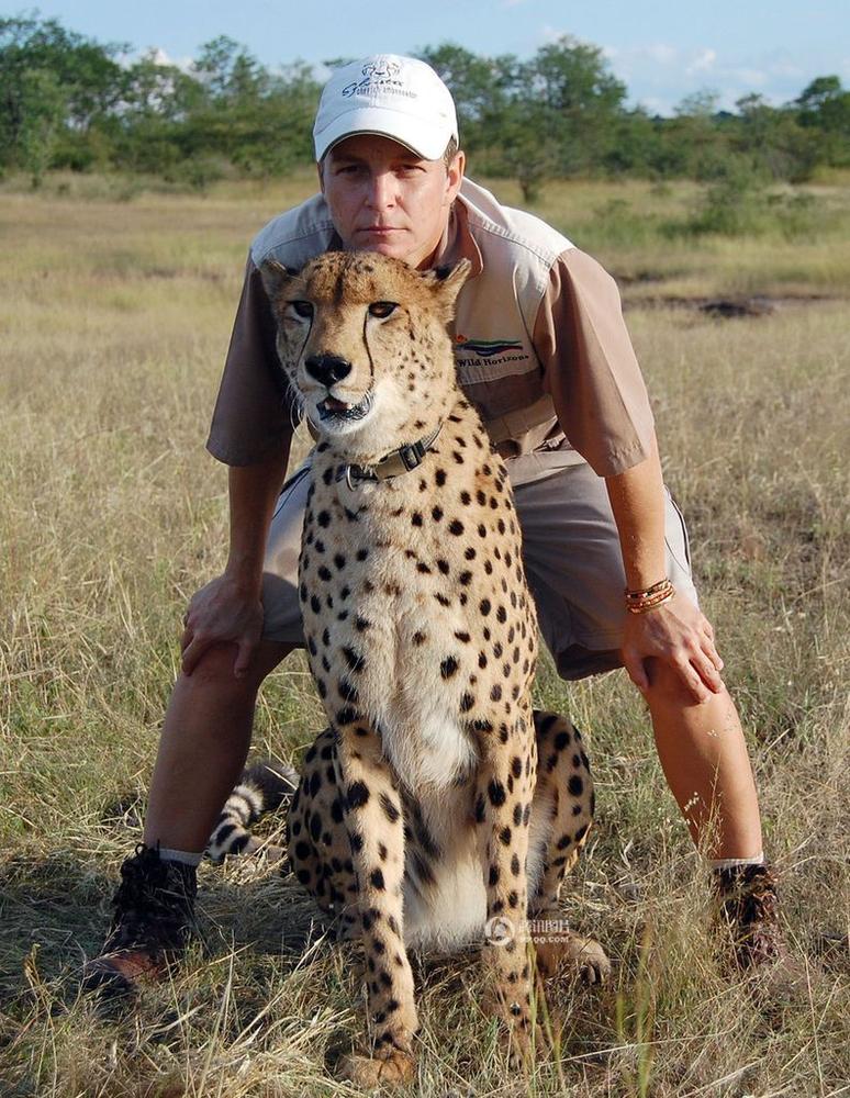 百万亚瑟王激活码,余额宝财付通哪个好,尽在不言中