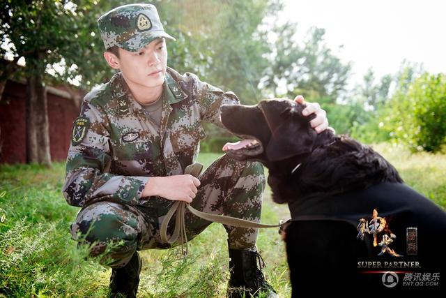 奇兵神犬电视剧图片