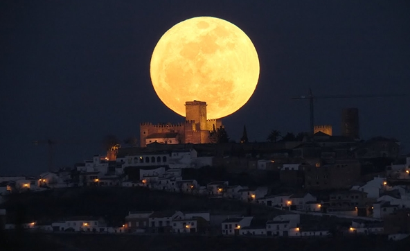 pcp气枪打猎视频中国