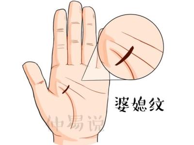 从手纹看和婆婆关系