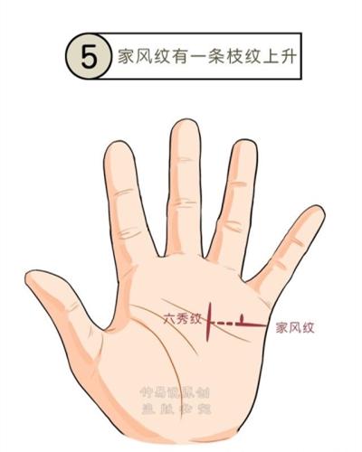 家风纹有一条纹上升,还有一条六秀纹配合,这样手纹的人,代表在事业上