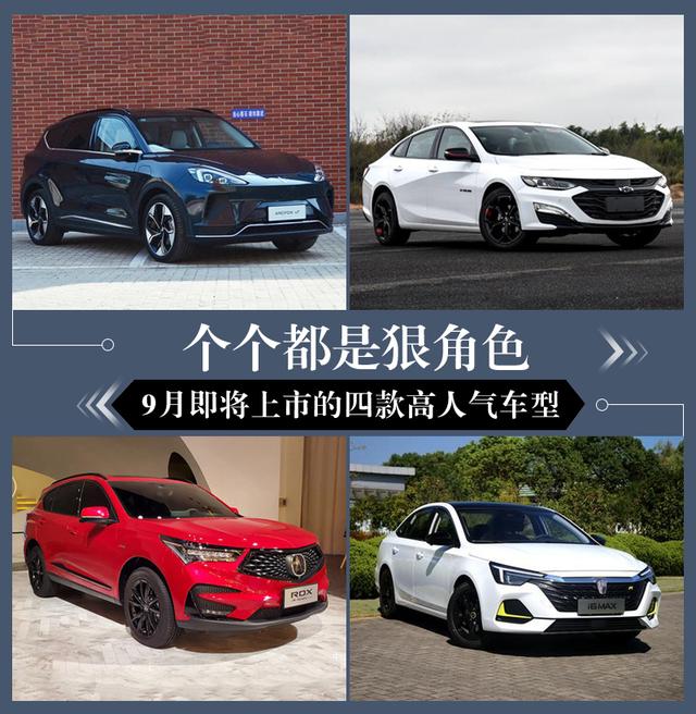 个个都是狠角色 9月即将上市的四款高人气车型