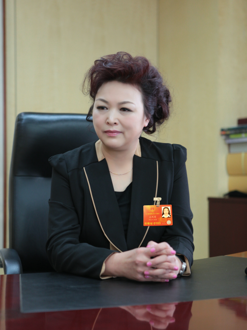 王凤英质疑治堵"懒政" 应加强治理法制建设