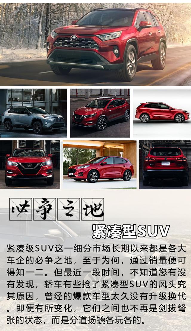 RAV4/濥/ֵδSUVôѡ