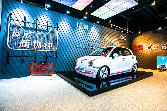 好玩不贵的都市代步工具 欧拉R1购车手册