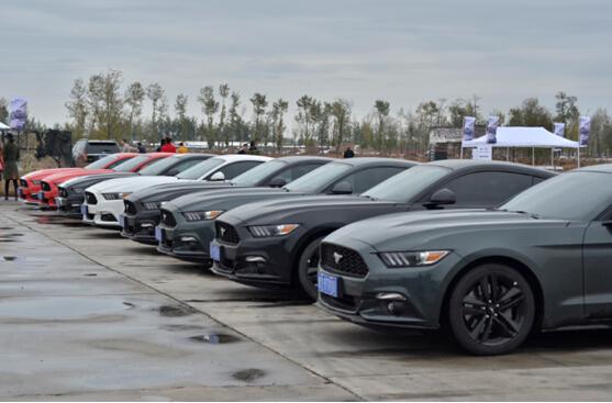 挡不住的激情 福特mustang群马大会北京撒野_汽车北京_腾讯网