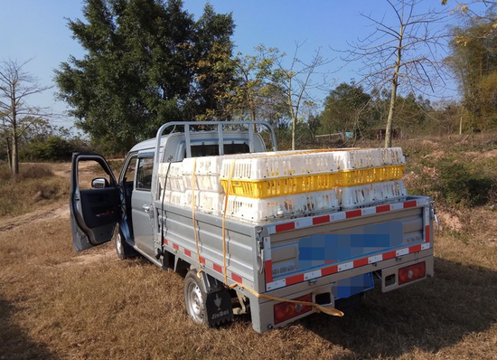 (图为车友运送的满满一车鸭子)