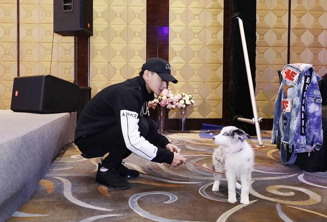 龙韬娱乐感恩答谢宴 黄子韬遛狗乖巧变“奶爸”