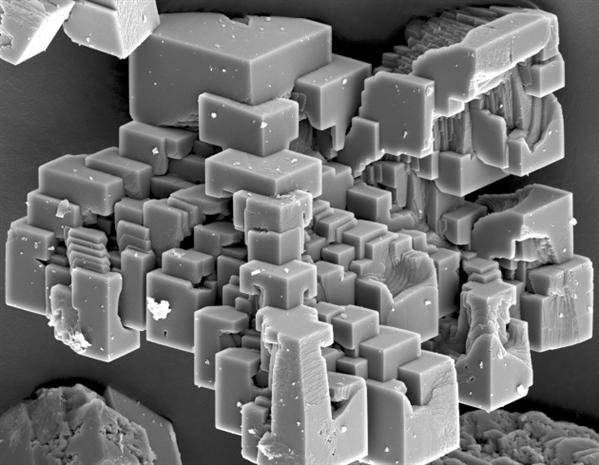 这些古怪的结构是碳酸钙晶体,图像为2000×放大率