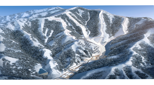 冬残奥会项目-高山滑雪