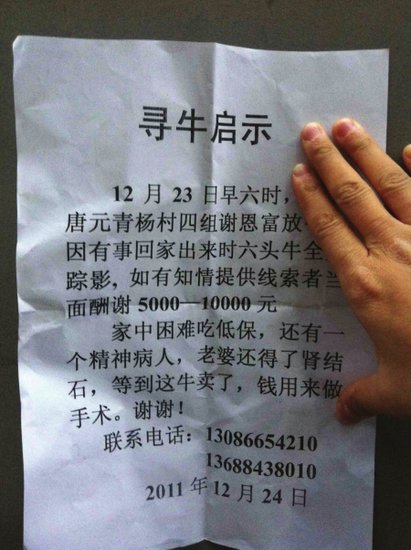 谢恩富贴出的寻牛启事