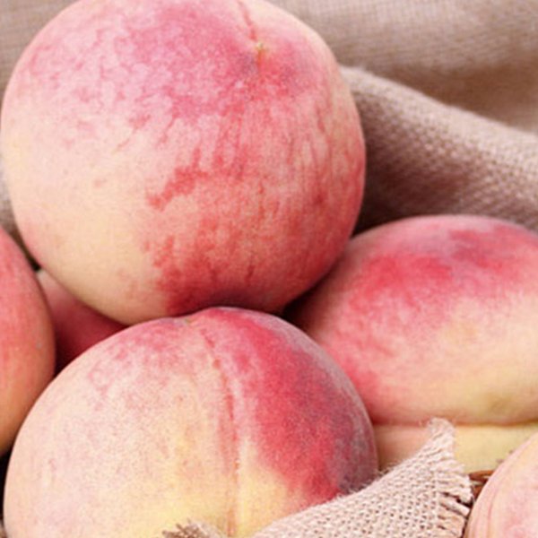 蓬溪特产仙桃口感脆香甜美味多汁15个大果预售5斤装