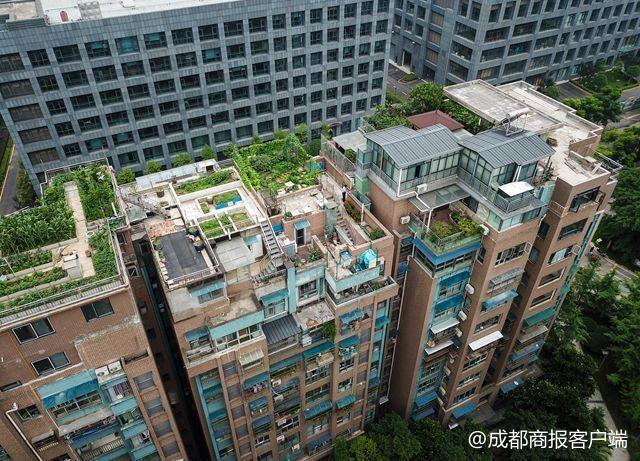 成都某小区15栋楼楼顶被违建攻陷或被冻结产权