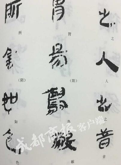 老官山汉墓出土医学竹简整理初步完成 或为医书