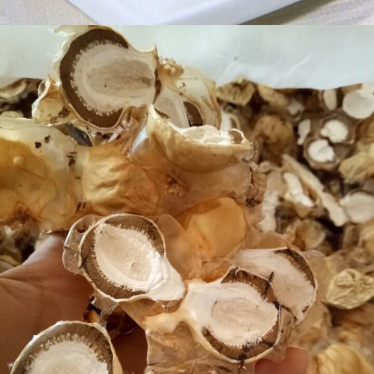 蜀南竹海干竹荪蛋250g清香嫩脆