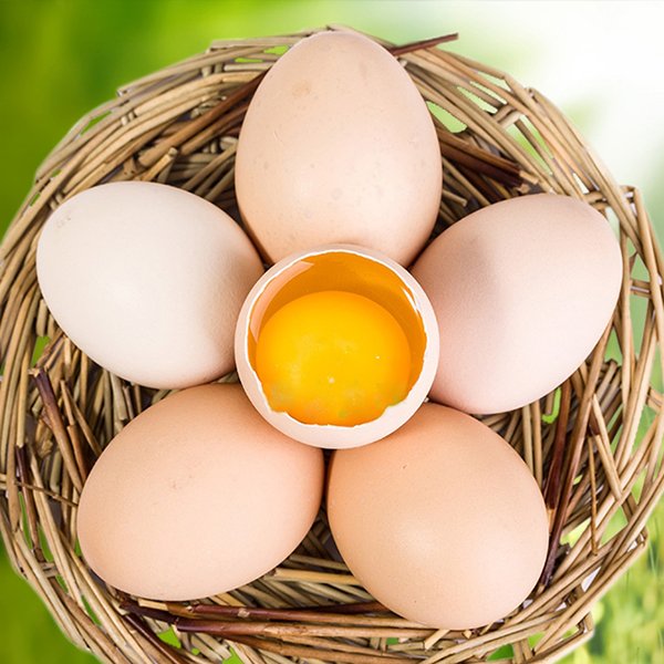 蓬溪土鸡蛋 农家散养土鸡蛋 天然美味 文井土鸡蛋礼盒 新鲜土鸡蛋35枚