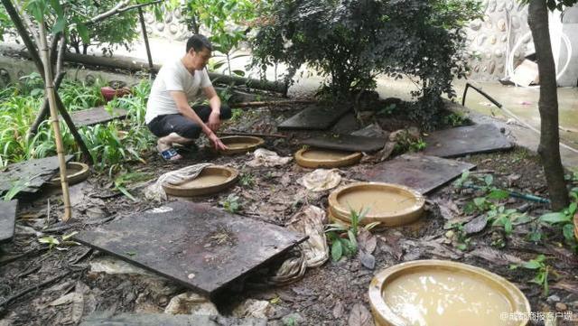 广元青川史家坝酒厂5万斤窖藏酒被淹 损失上百