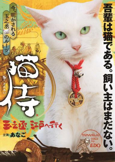 《猫侍》玉之丞江户之旅 sp剧2月播放