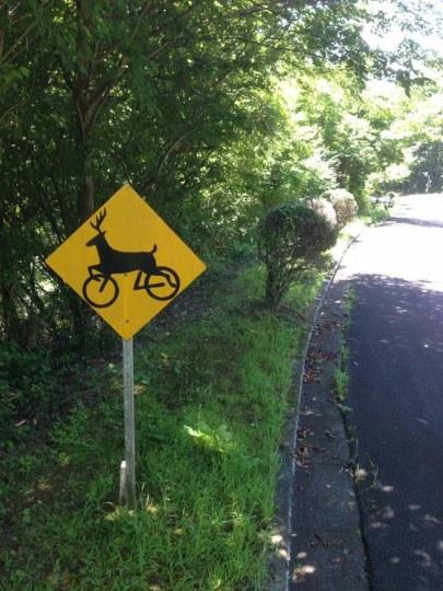 “乔巴”骑自行车？这样的警示牌有没有搞错